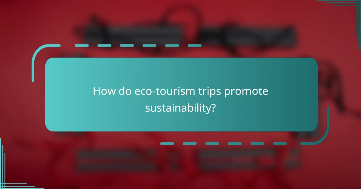 How do eco-tourism trips promote sustainability?