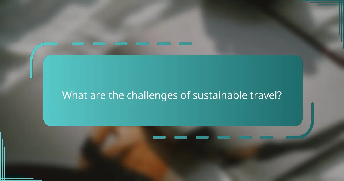 What are the challenges of sustainable travel?
