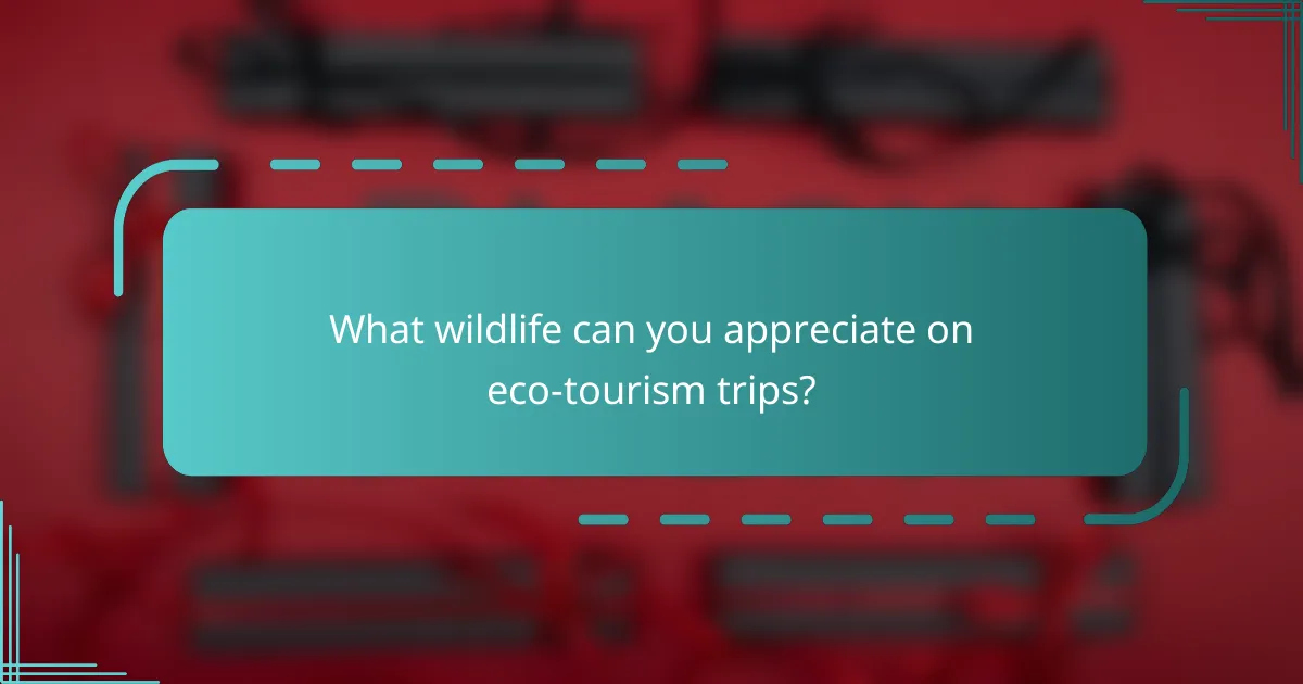 What wildlife can you appreciate on eco-tourism trips?